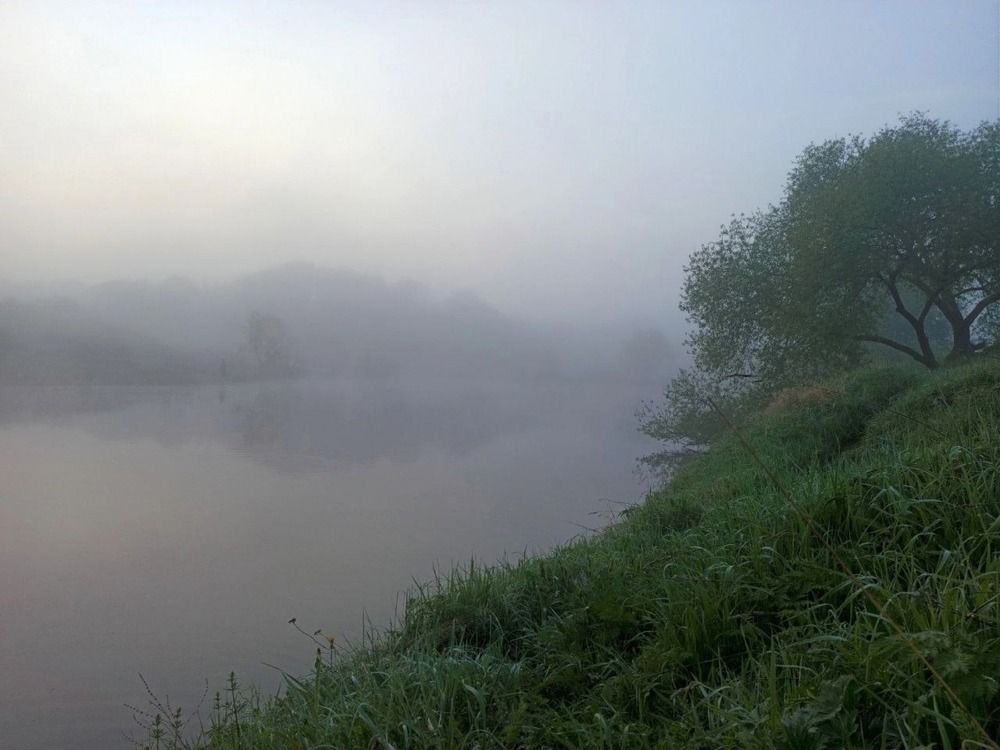 Photograph by Евгений Никонов