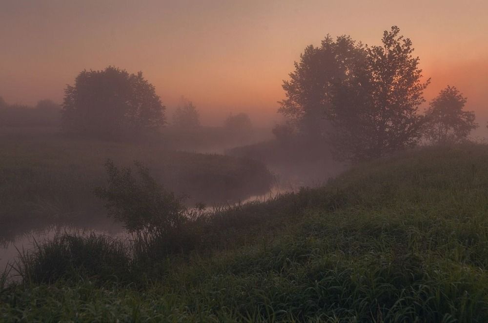 Photograph by Евгений Никонов