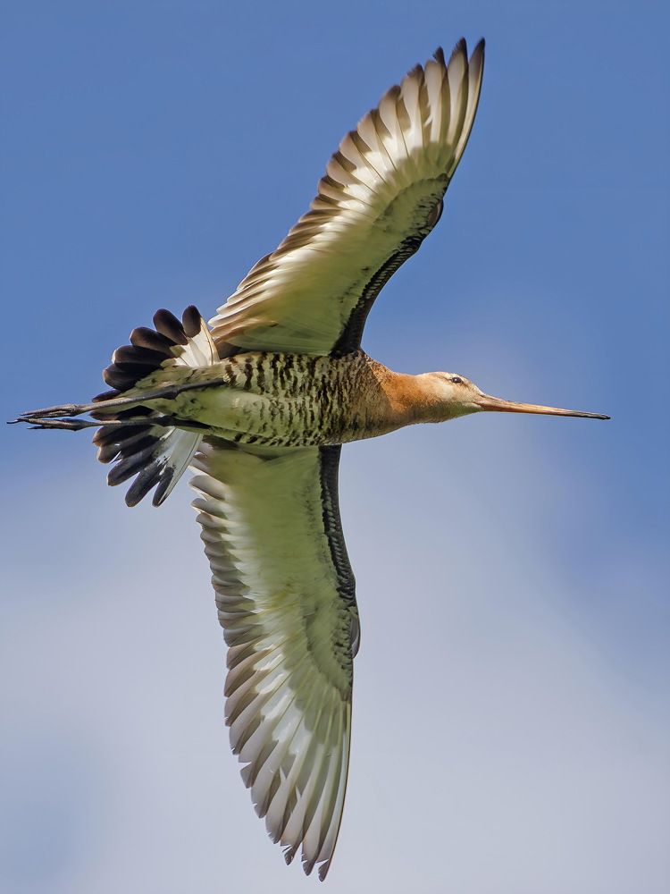 Photograph by Оксана Маховская