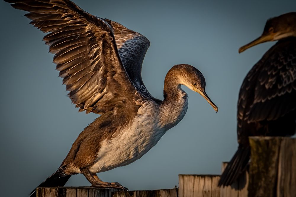 Photograph by Andrea Barlotti