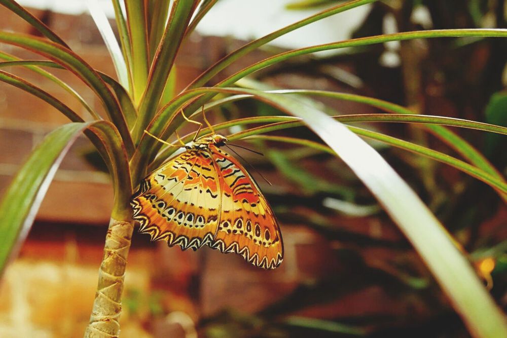 Photograph by Михаил Соколов