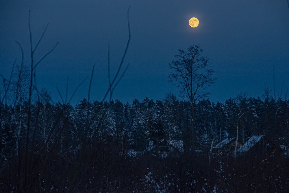 Фотография автора Aлексей Игнатьев