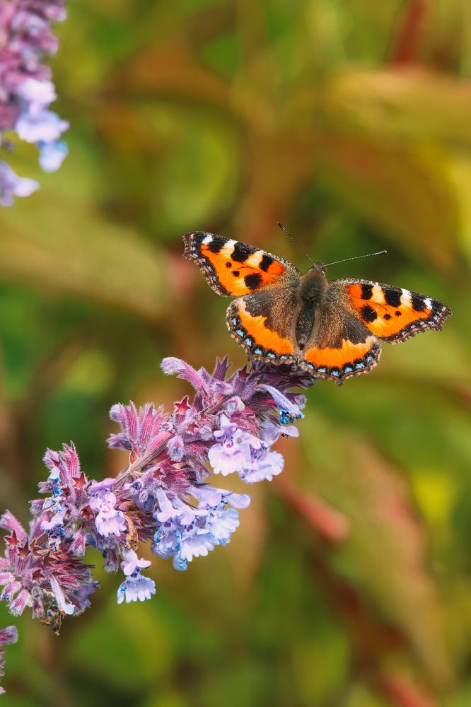 Photograph by Алексей Голубев