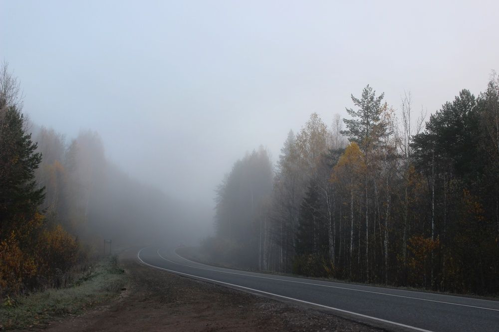 Фотография автора Тамара Караваева