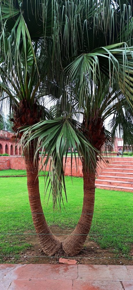 Photograph by Ranadeb Pradhan