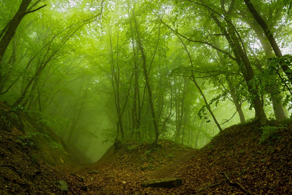 Photograph by Дмитрий Михальчук