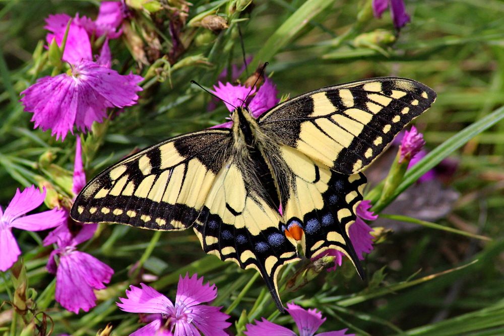 Photograph by Николай Николаевич Леухин