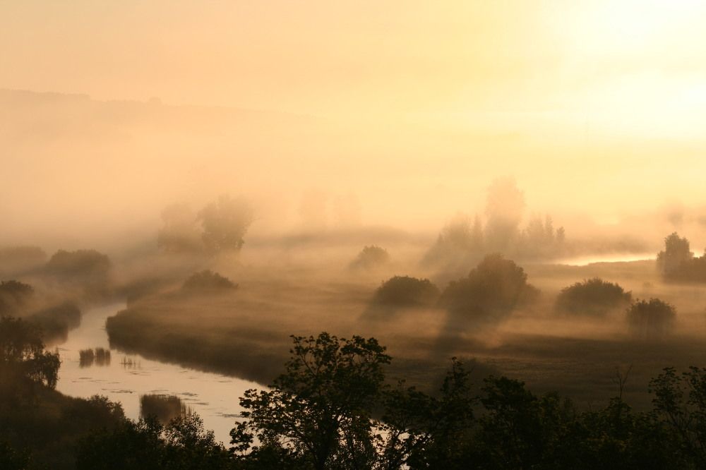 Фотография автора Татьяна Шебаршенко