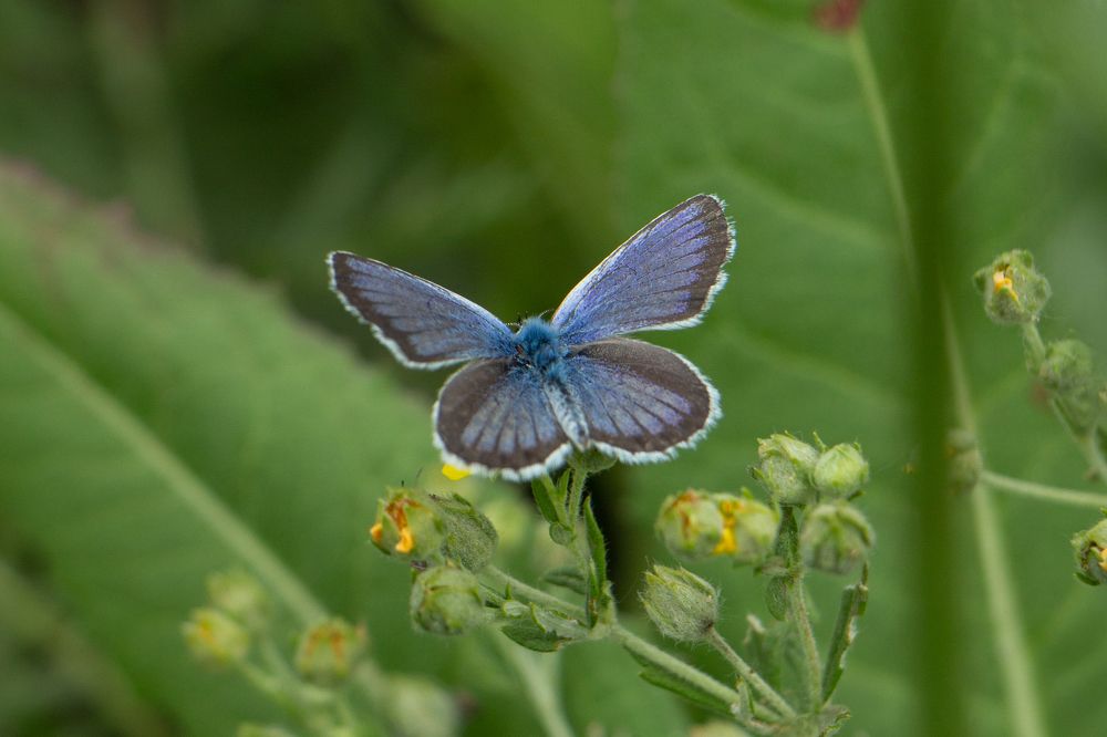 Photograph by Анжелика Сороколетова