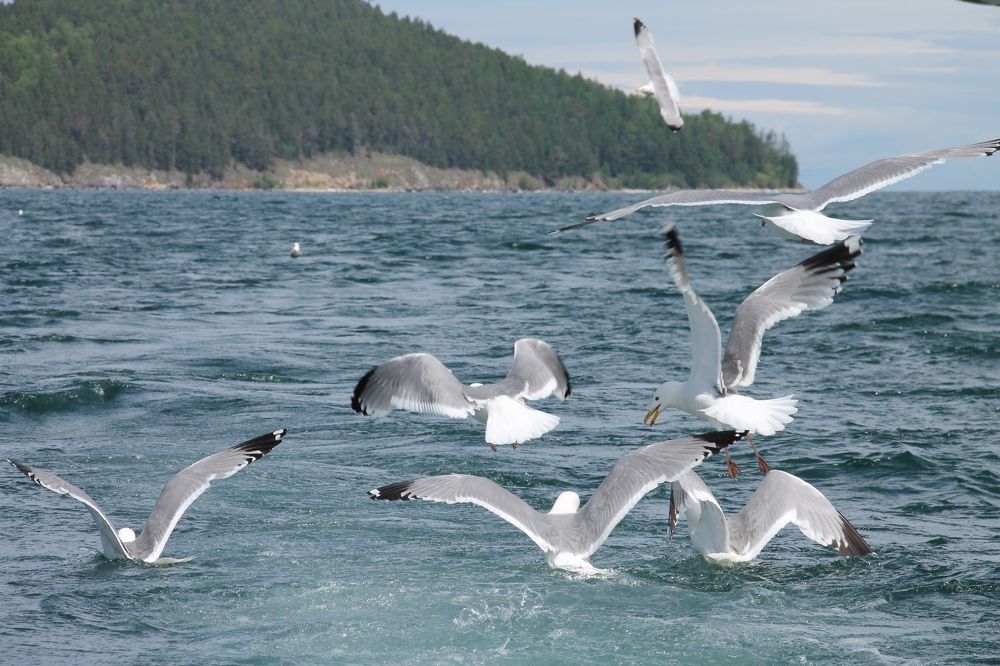 Photograph by Александр Борисов