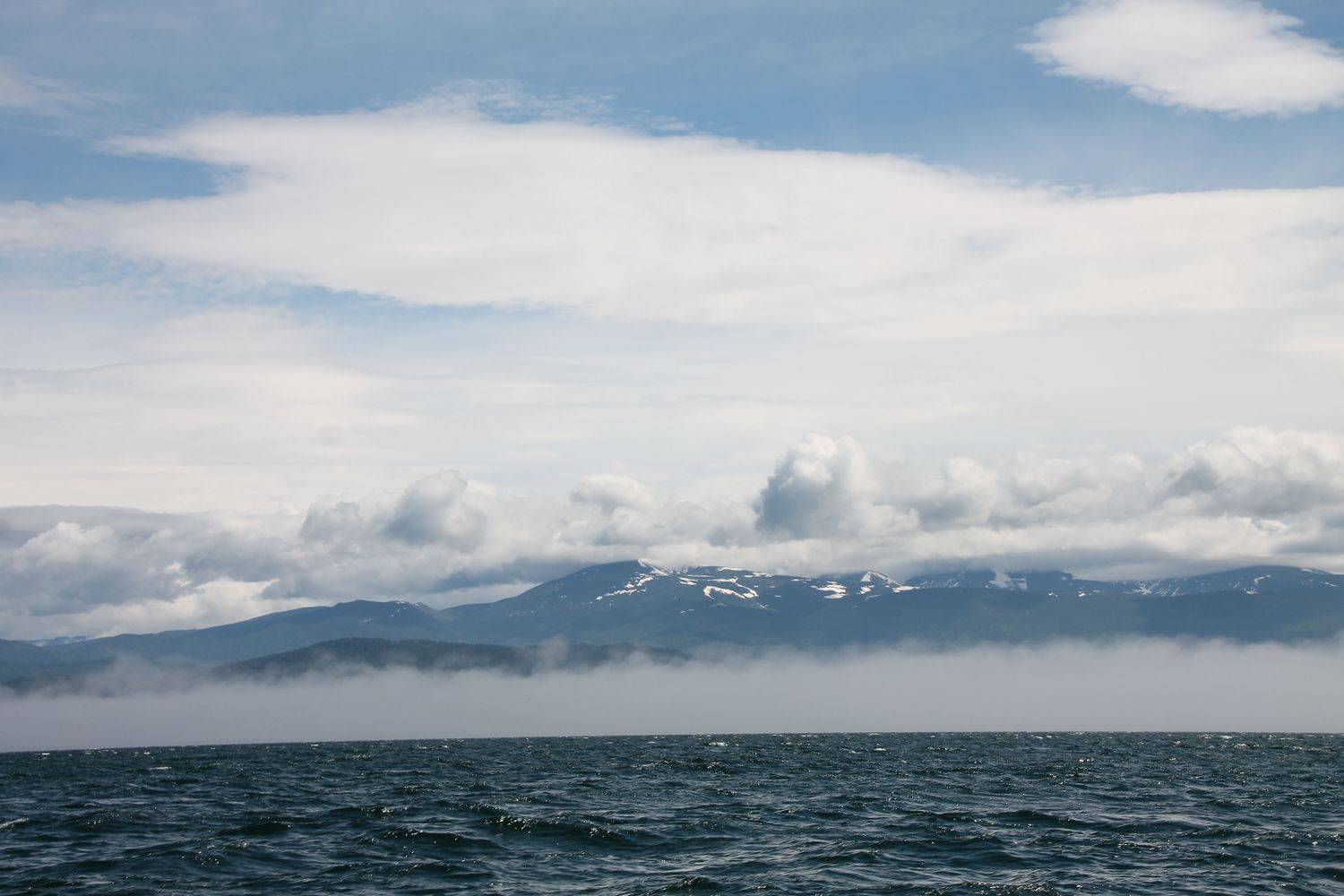 Photo #9312870