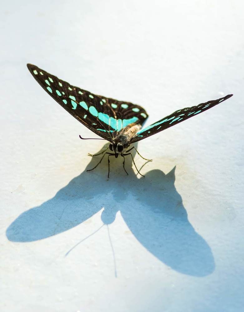 Photograph by Sanjay Danait