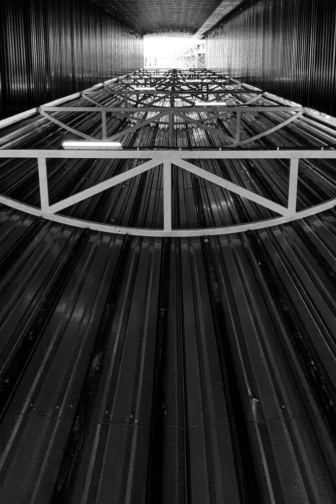 Фотография автора Максим Грибанов