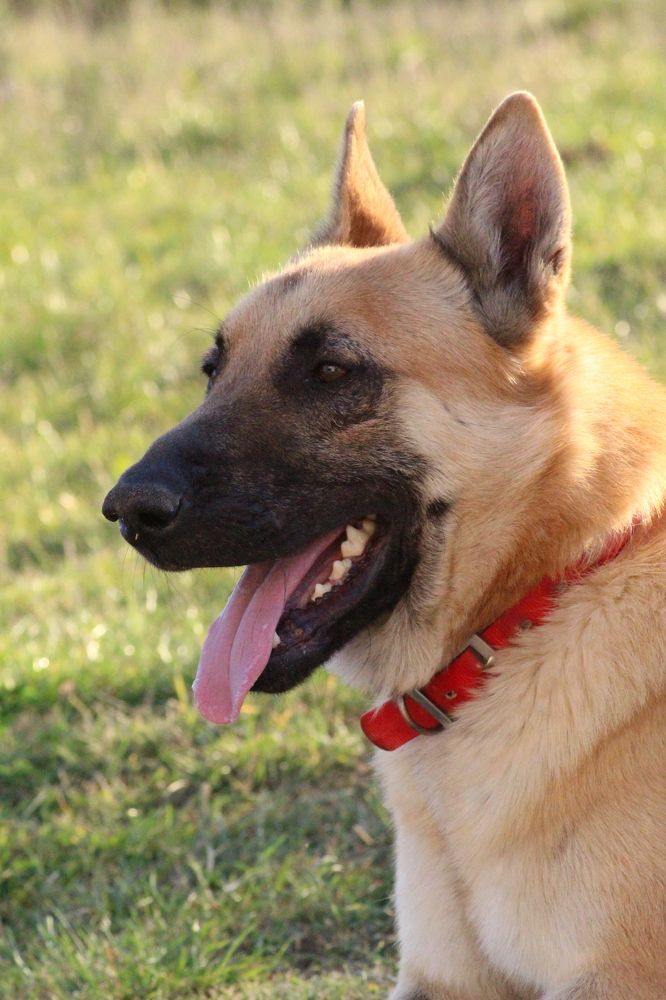 Photograph by Panagiotis Batatolis