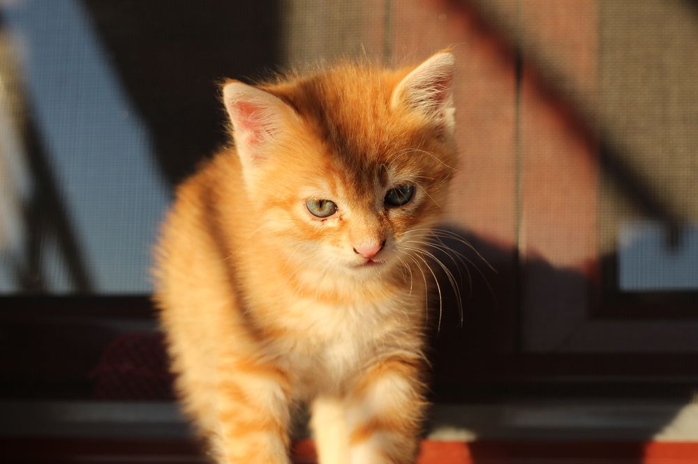 Photograph by Panagiotis Batatolis