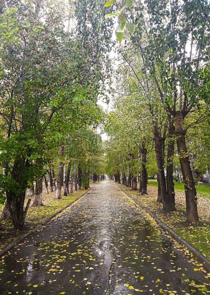 Photograph by Татьяна Атисс