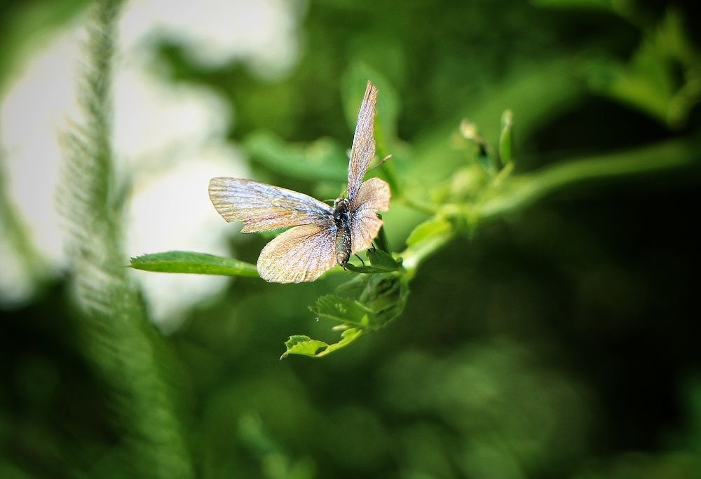 Photograph by Владимир Сушкин