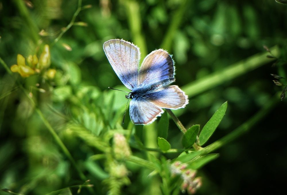 Photograph by Владимир Сушкин