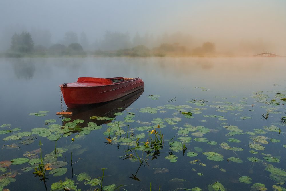 Photograph by Елена Потемина