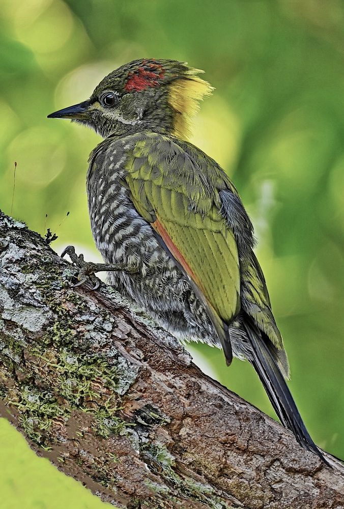 Photograph by Kan Chung Wong