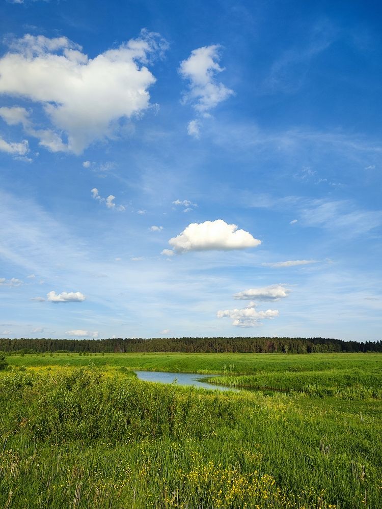 Photograph by Лолита Богачева