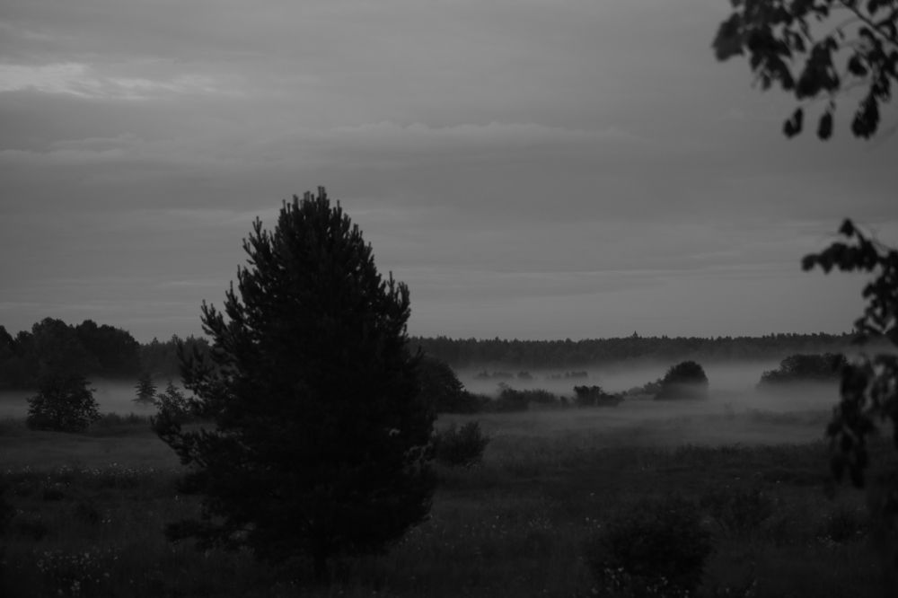 Photograph by Тамара Прибойченко