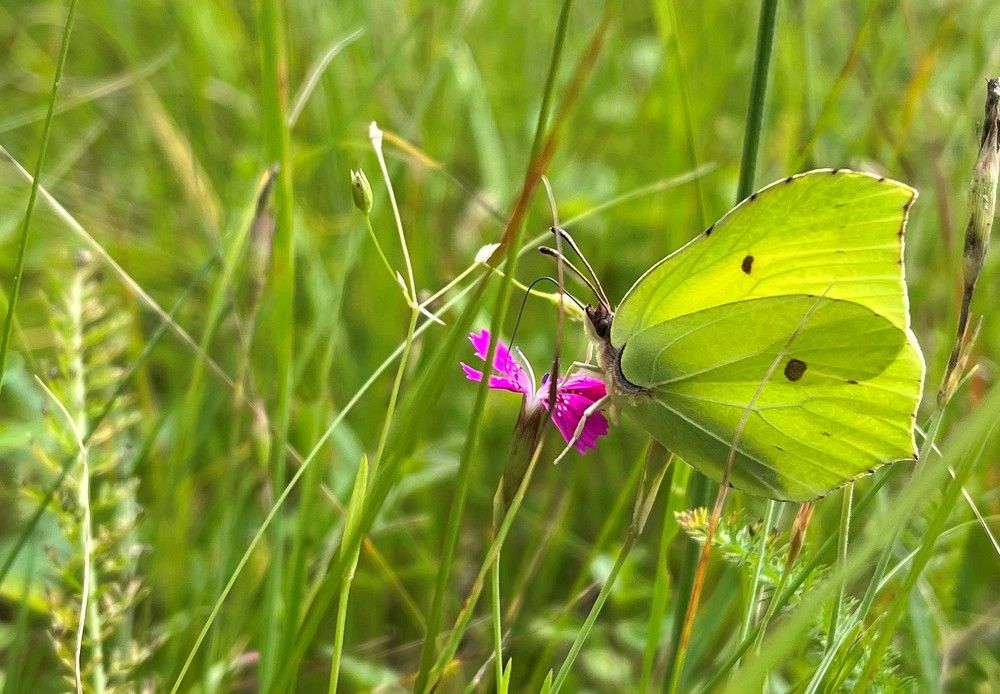 Photograph by Елена Карпухно