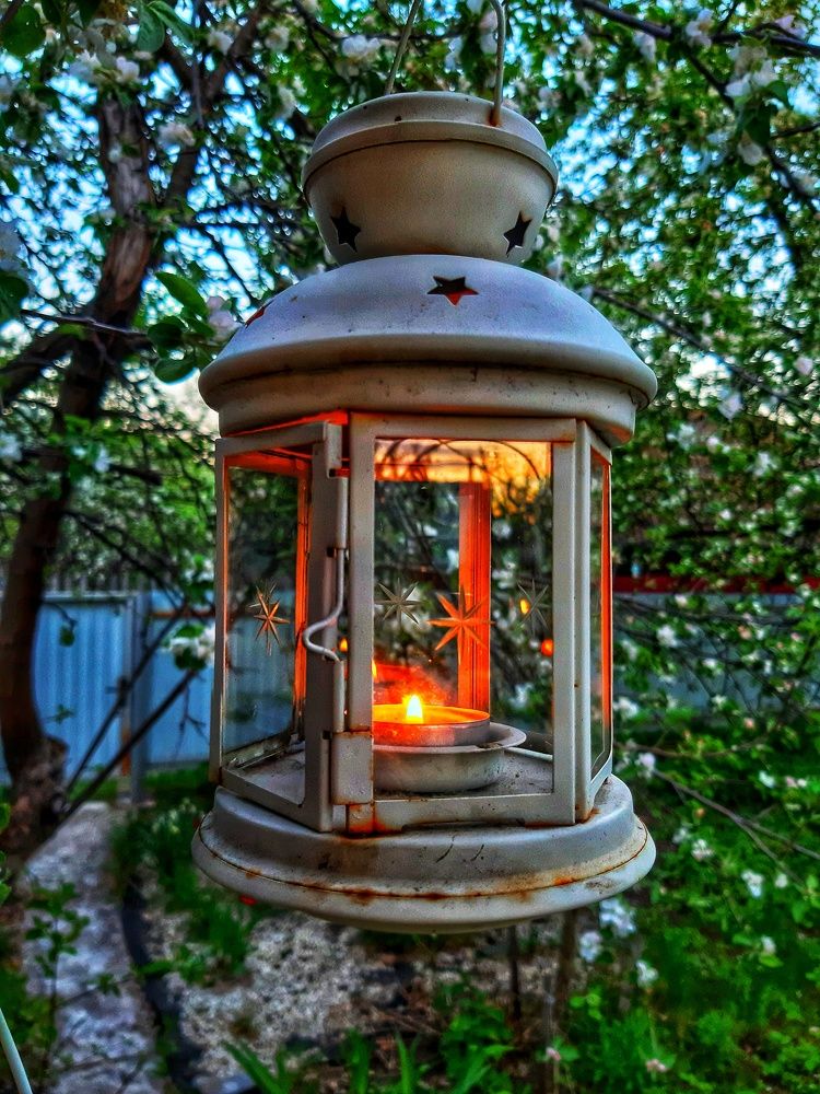 Photograph by Оксана