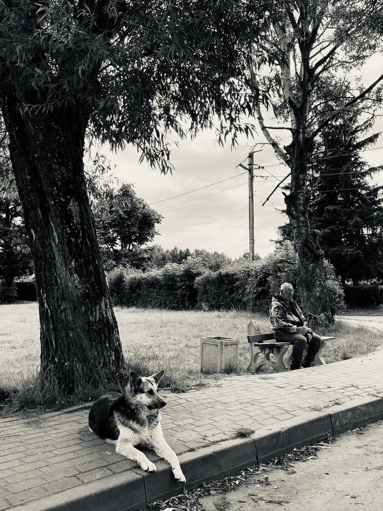 Фотография автора Ашхеник Азарян