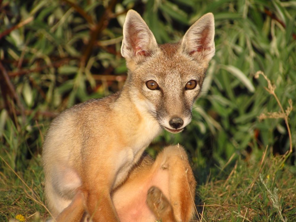 Photograph by Денис Веску