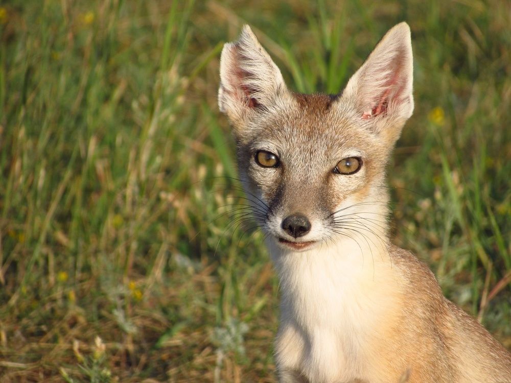 Photograph by Денис Веску