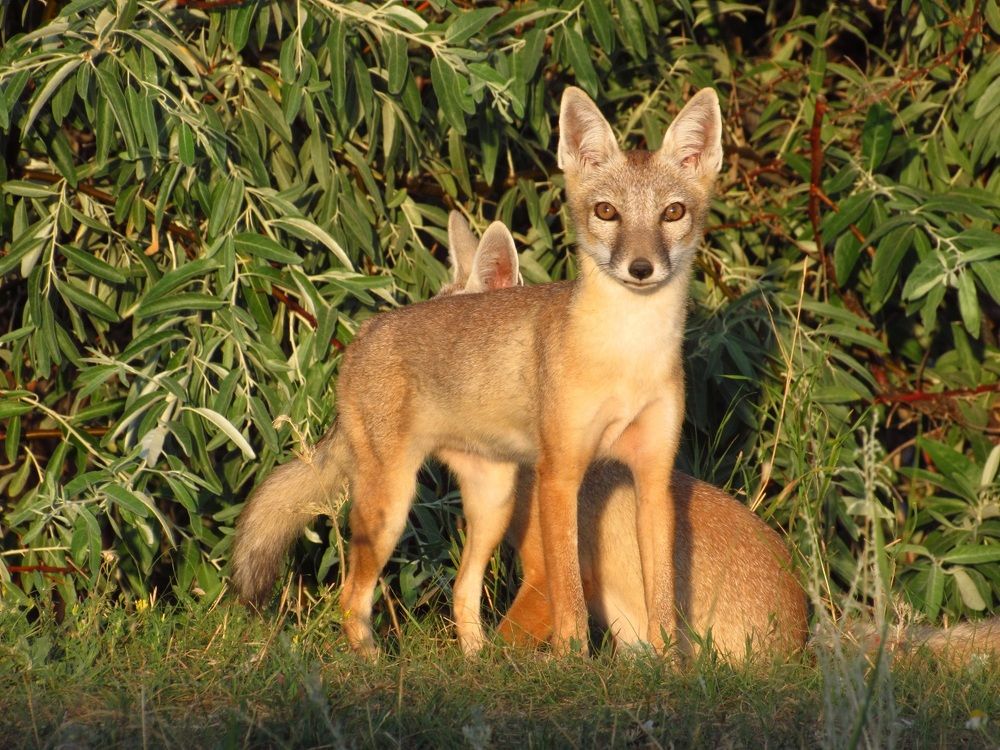 Photograph by Денис Веску