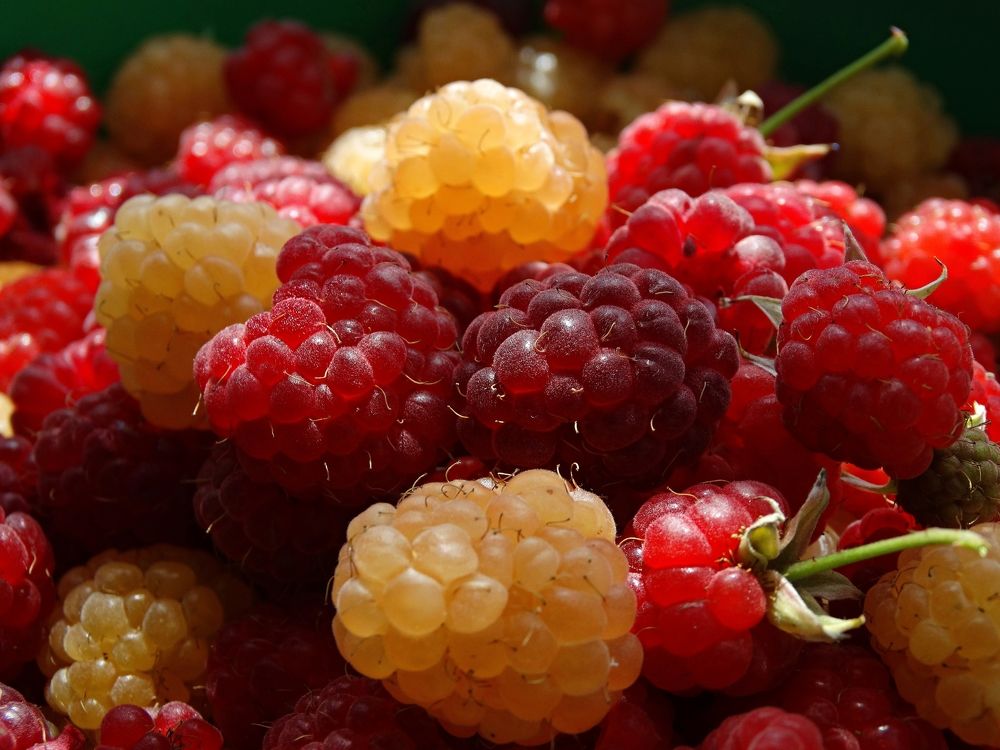 Photograph by Мария Широких