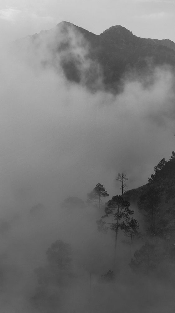 Photograph by Deependra Singh Rajput