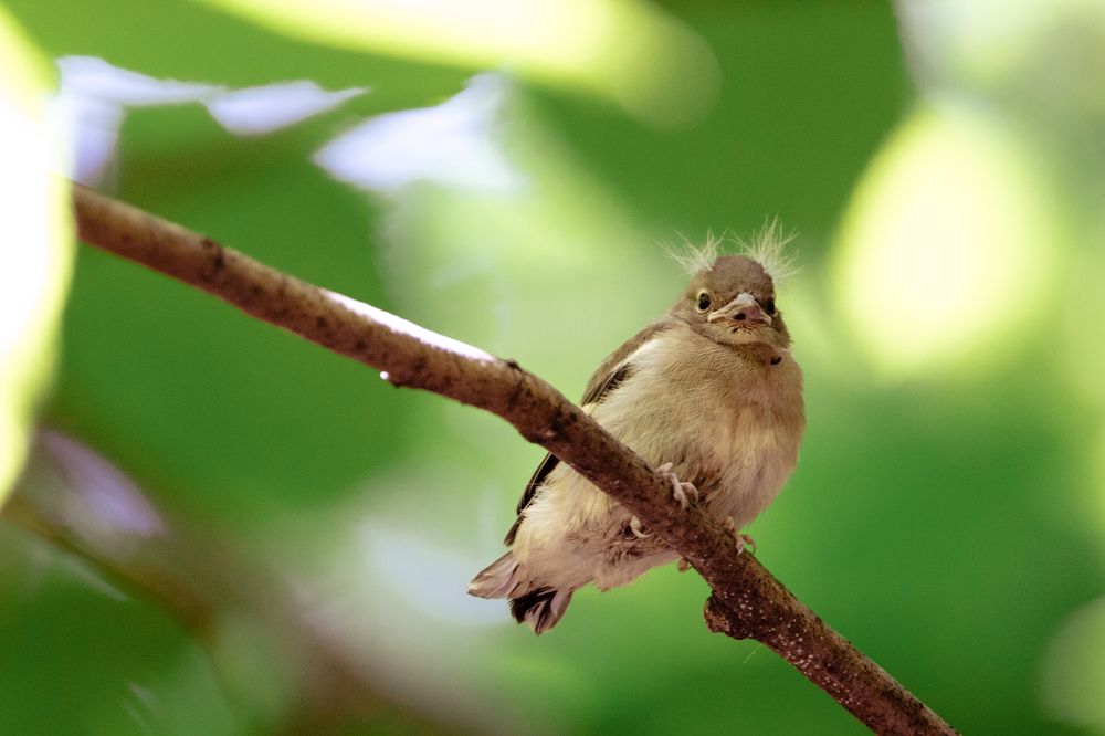 Photograph by Марина