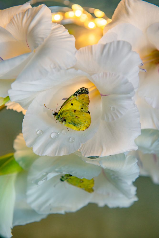 Photograph by Яна Украинец