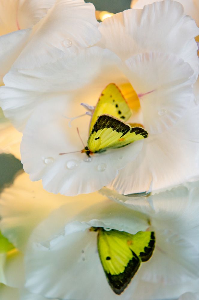 Photograph by Яна Украинец