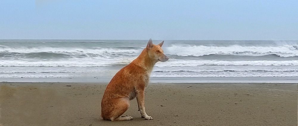 Photograph by kamrul nazim