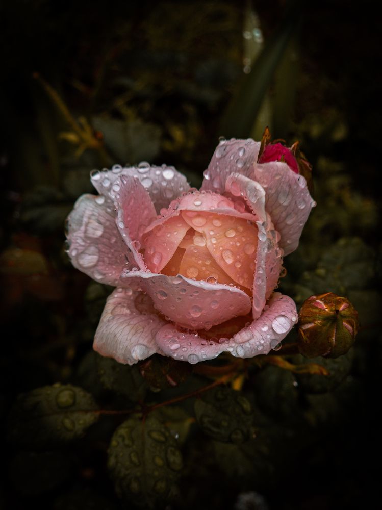 Photograph by Евгений Порсов