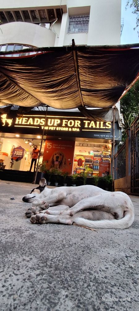 Photograph by Nirup Datta