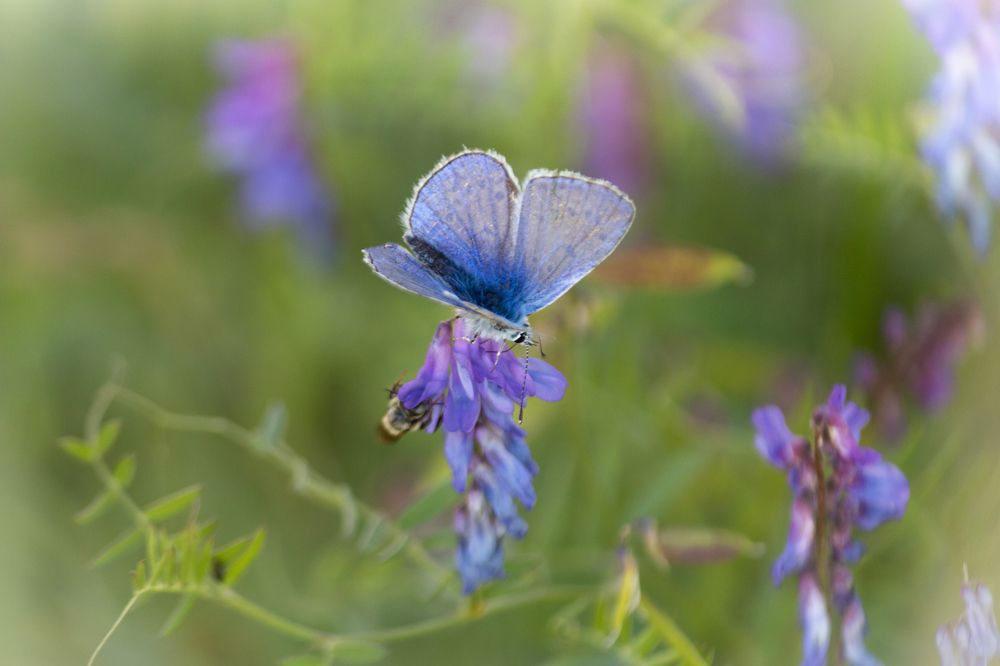Photograph by Виктория Эверстова