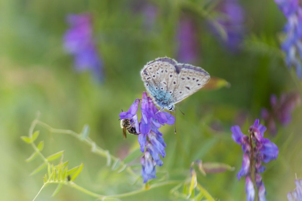 Photograph by Виктория Эверстова