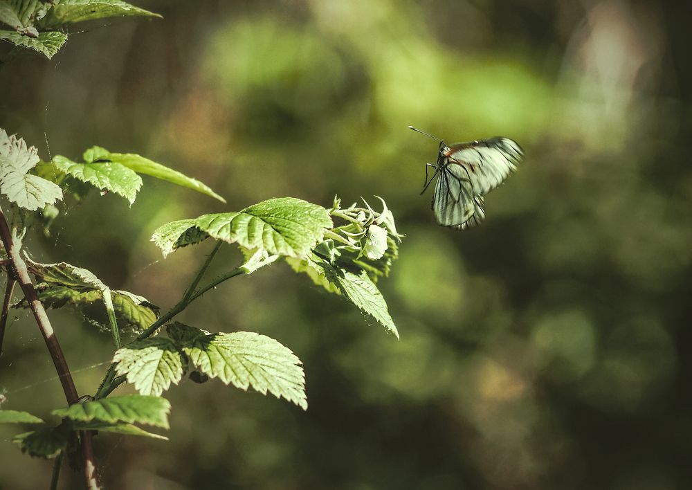 Жаркий июнь