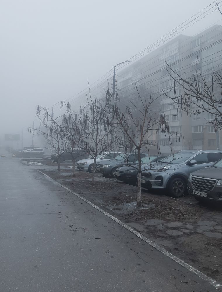 Photograph by Людмила