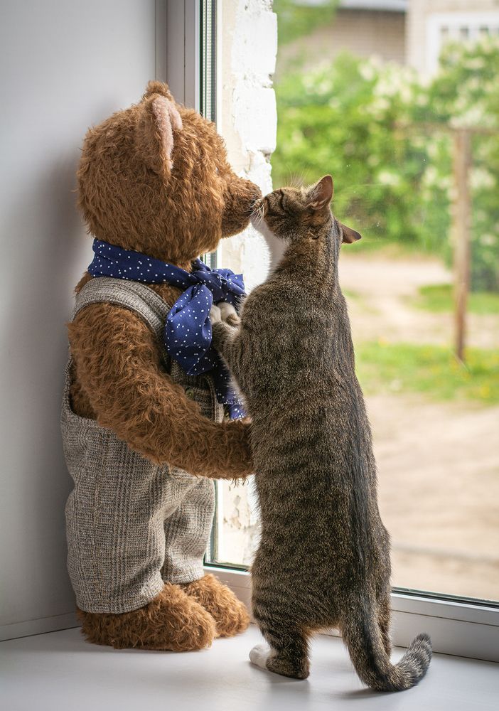 Photograph by Елена Потемина