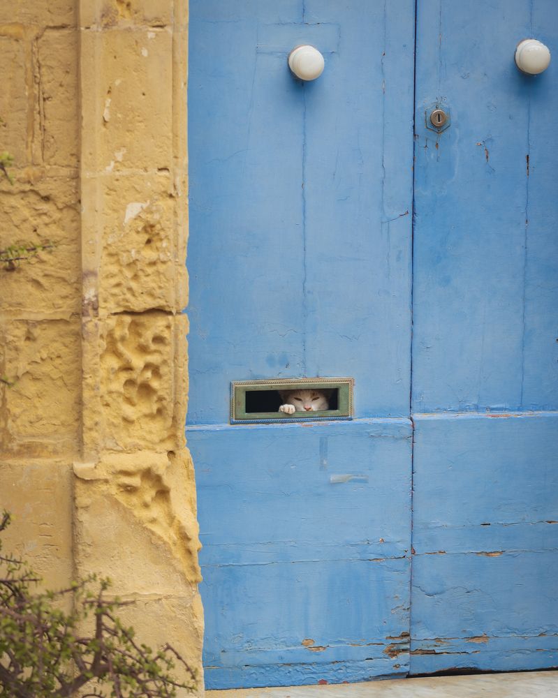 Photograph by Kelvin Bott