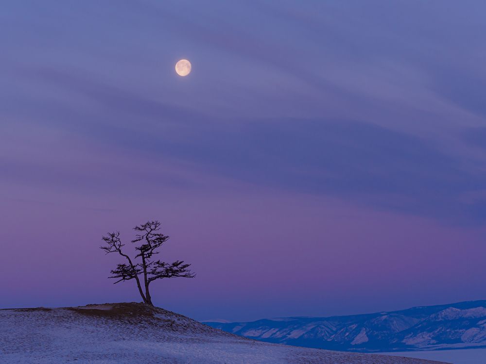 Photograph by Михаил