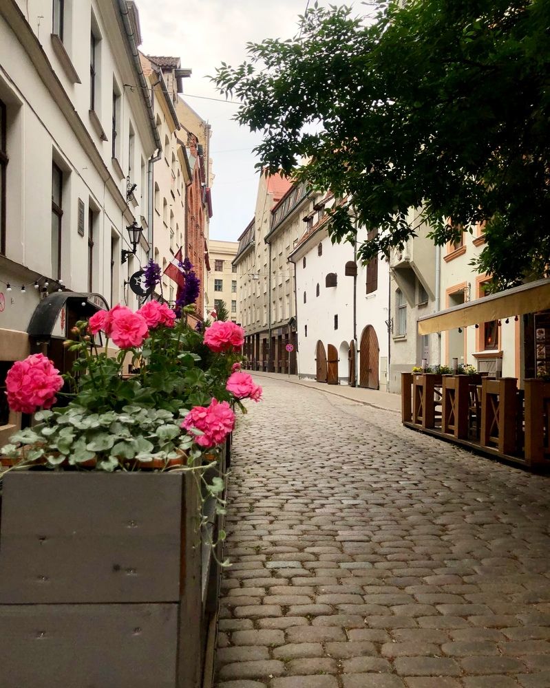 Photograph by Halina Mitsevich