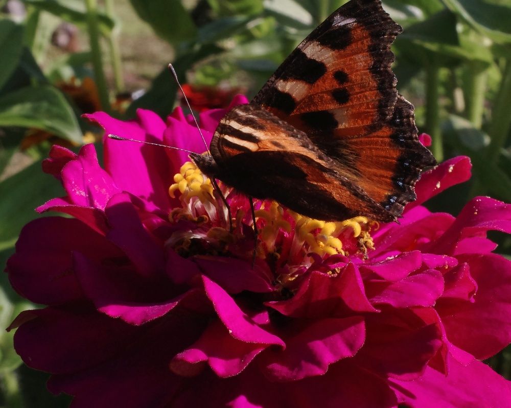 Photograph by Наталья Сафронова