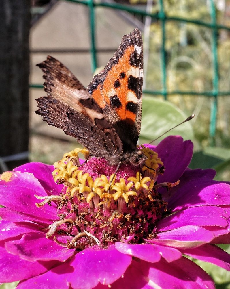 Photograph by Наталья Сафронова